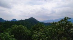 探秘，新中国第一个自然保护区、肇庆最美的景点－老龙潭
