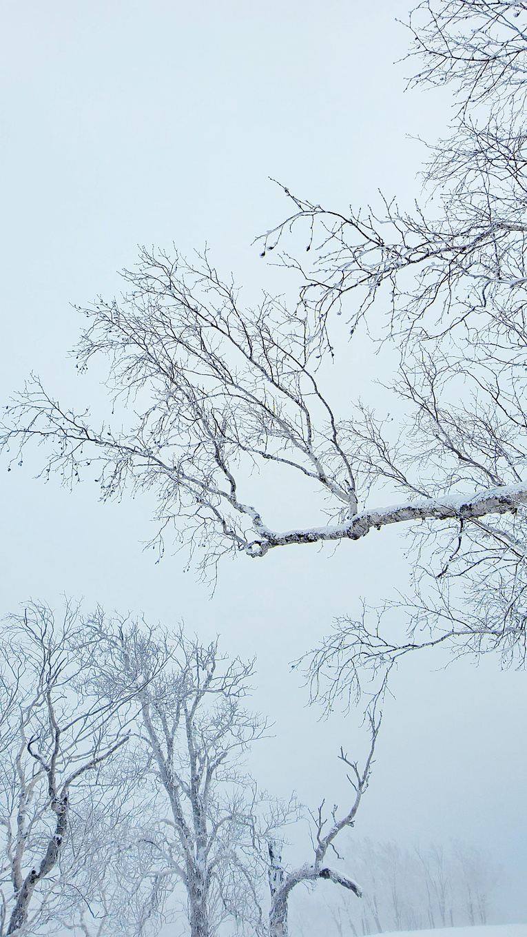 在哈尔滨怎么玩雪？这份哈尔滨3日游攻略请你收好