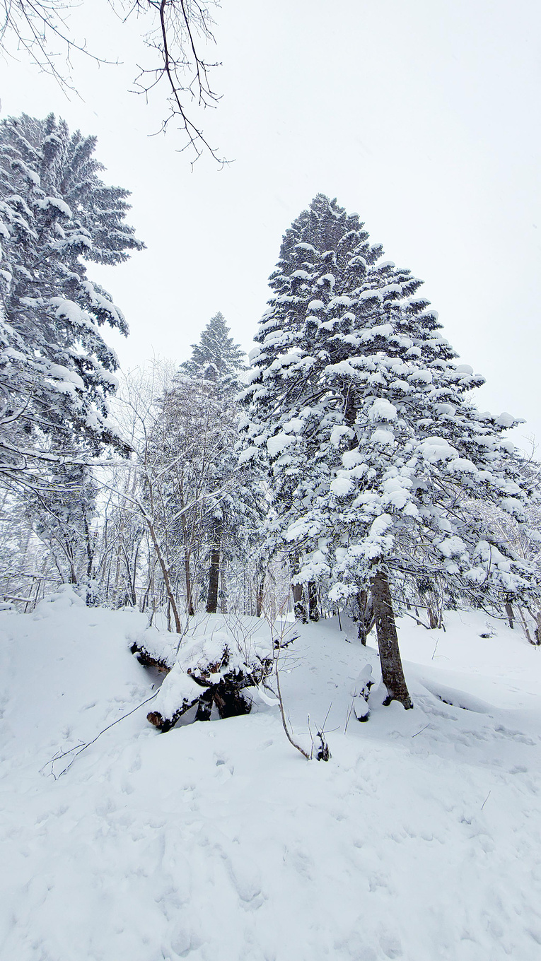 在哈尔滨怎么玩雪？这份哈尔滨3日游攻略请你收好