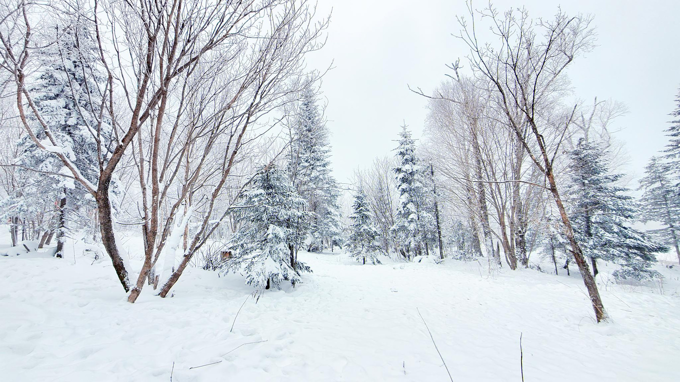 在哈尔滨怎么玩雪？这份哈尔滨3日游攻略请你收好