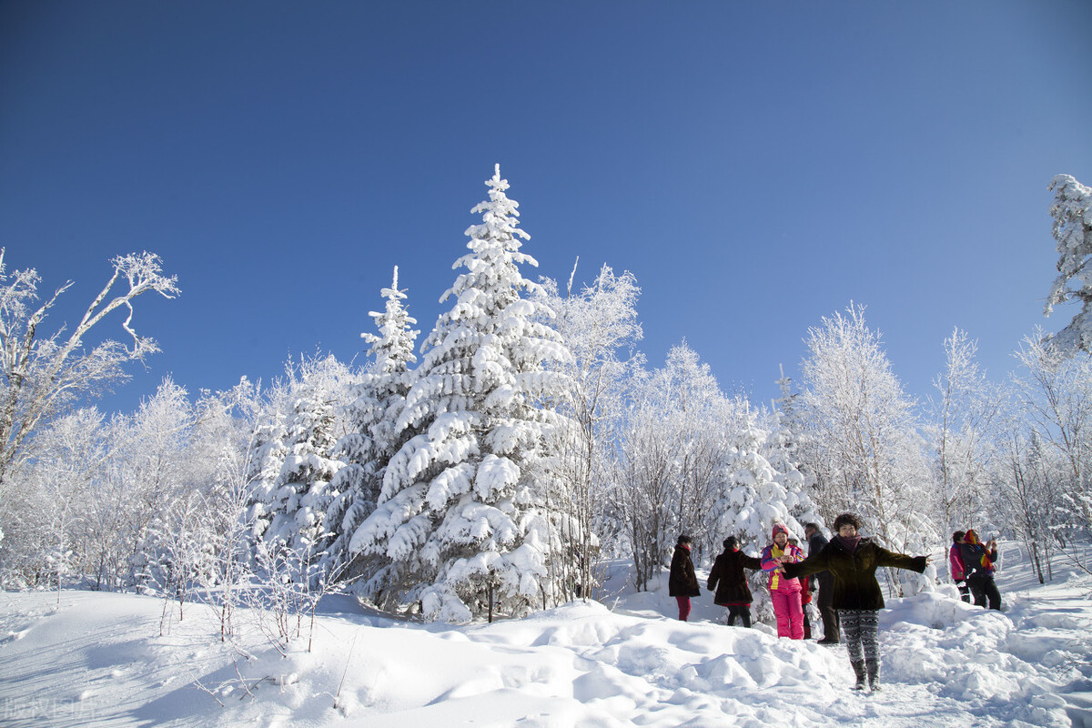 黑龙江共6个5A景区，哈尔滨冰雪大世界并未获评，你共去过几个