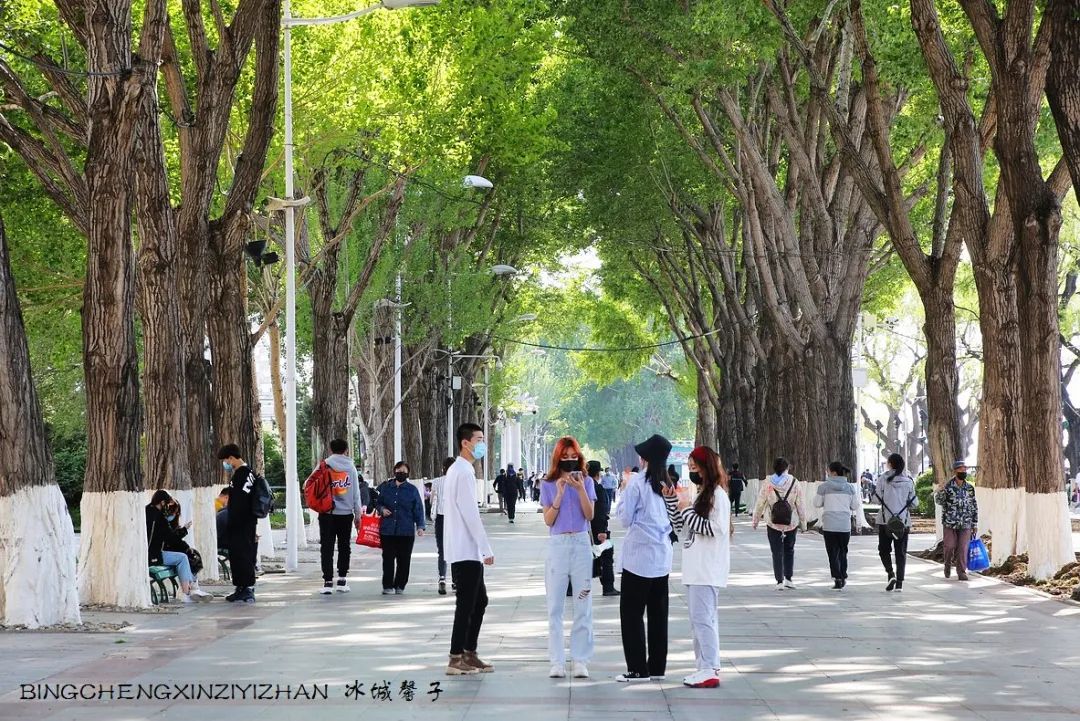 去哈尔滨旅游最应该的地方是哪里？松花江畔的斯大林公园