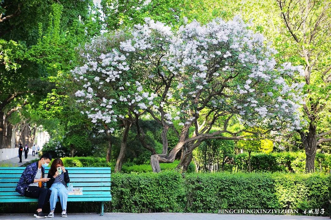 去哈尔滨旅游最应该的地方是哪里？松花江畔的斯大林公园