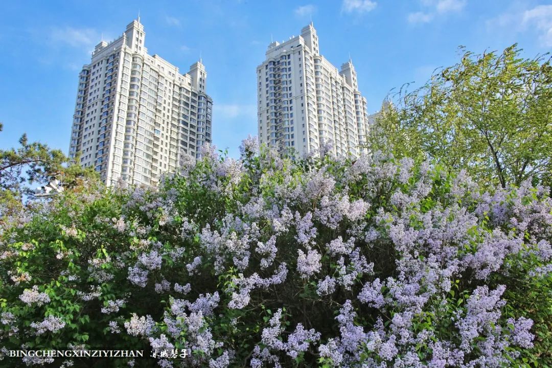 去哈尔滨旅游最应该的地方是哪里？松花江畔的斯大林公园