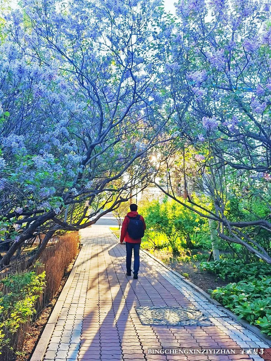 去哈尔滨旅游最应该的地方是哪里？松花江畔的斯大林公园