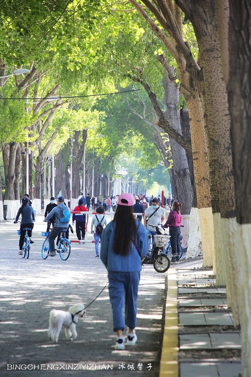 去哈尔滨旅游最应该的地方是哪里？松花江畔的斯大林公园